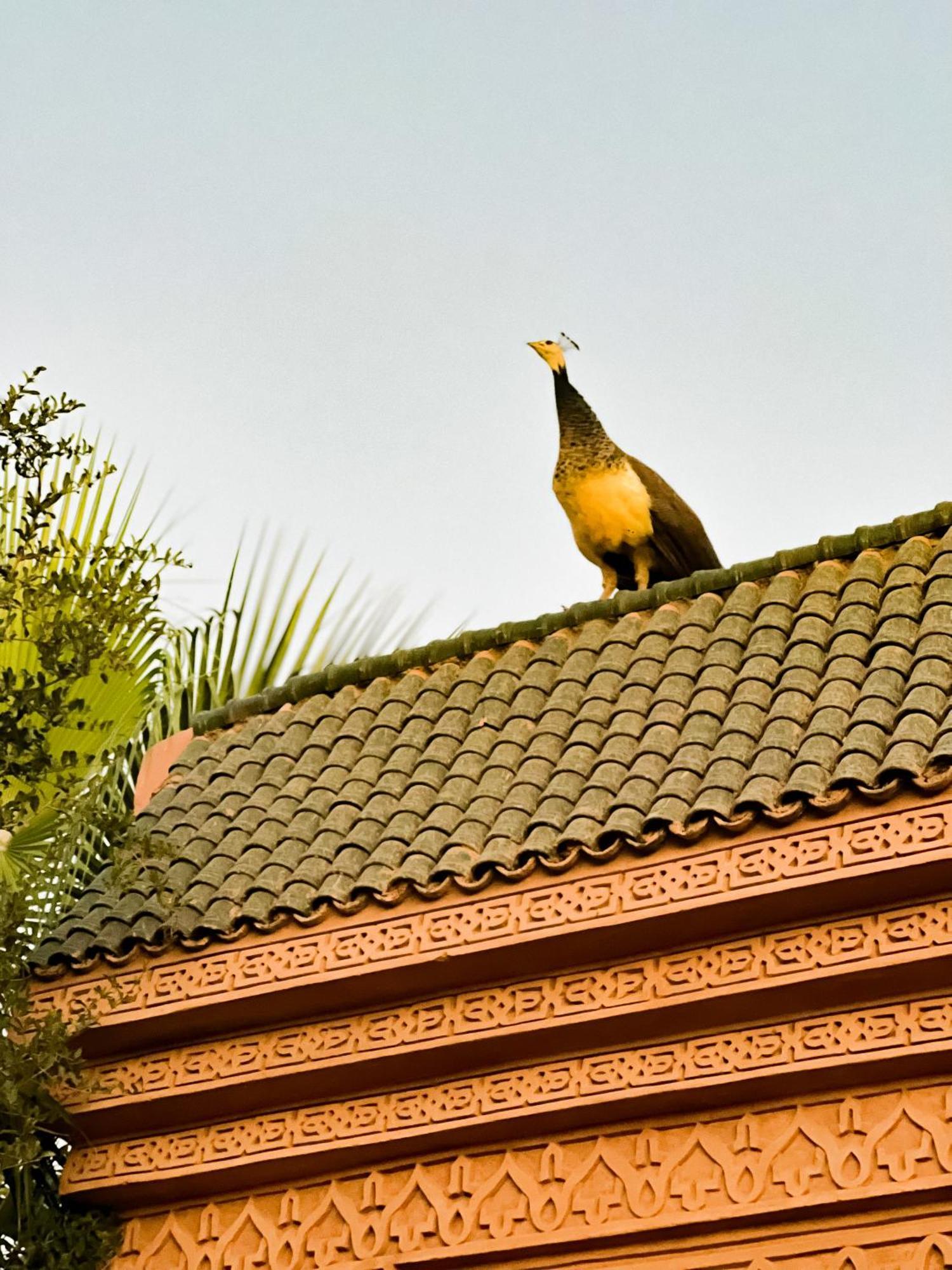 Guest House Qodwa Sidi Abdallah Ghiat Екстериор снимка
